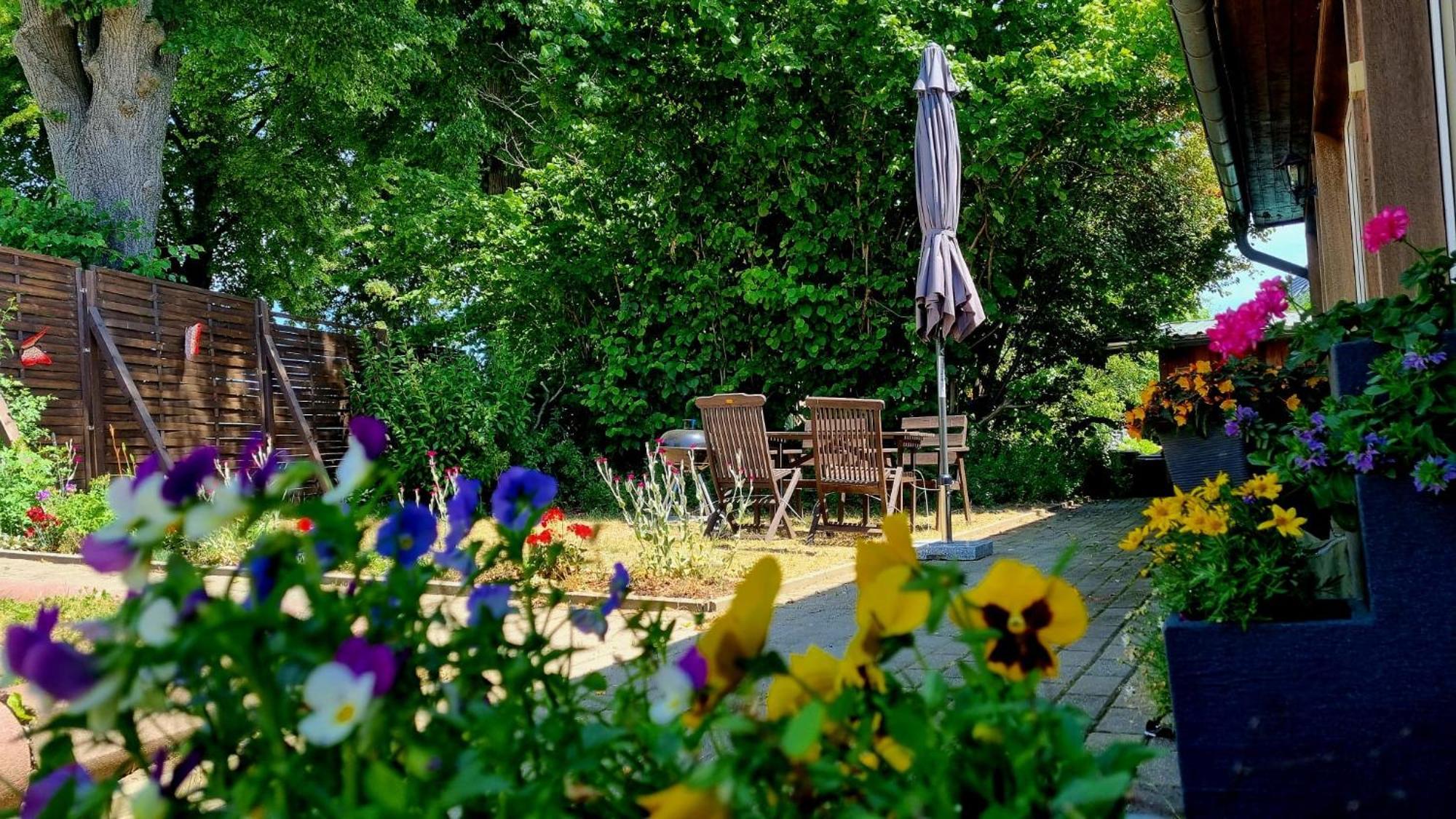 W5 - Urlaubsmagie - Wohnung Mit Grill, Terrasse & Pool Lichtenhain  Ngoại thất bức ảnh